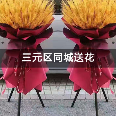 三元区佳和人家小区附近的花店，老牌花店，当天送货