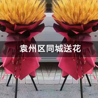 袁州区中国农业发展银行宿舍附近的花店，老牌花店，免费