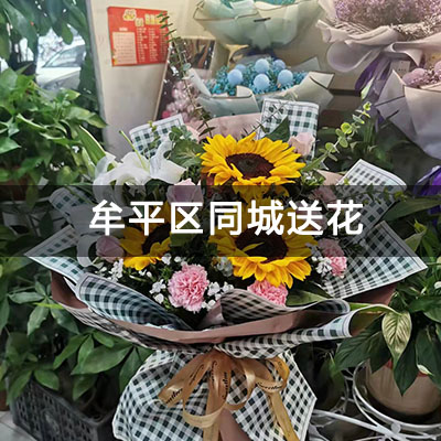 牟平区河滨佳苑附近的花店，10余年老店，免费配送