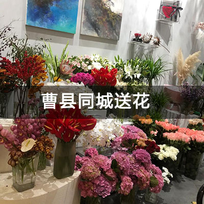 曹县曹县名仕苑小区附近的花店，知名花店，免费配送