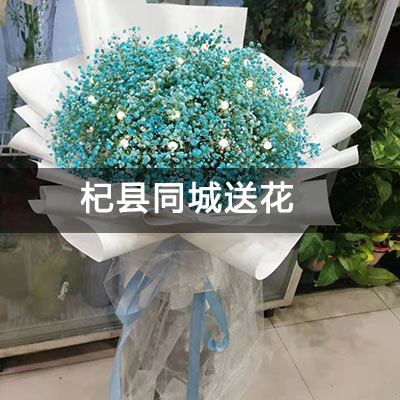 杞县杞县建业城附近的花店，知名花店，快送上门