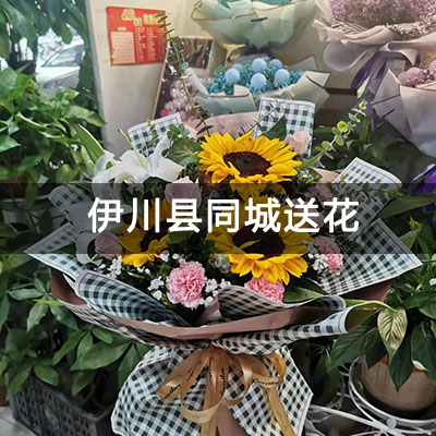 伊川县翔宇家园附近的花店，10余年老店，免费配送