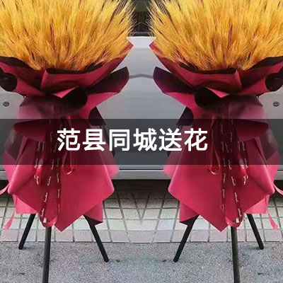 范县新时代家园附近的花店，知名花店，送花上门