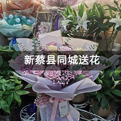 新蔡县西湖豪庭附近的花店，知名花店，快送上门