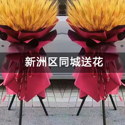 新洲区新洲区老法院家属院附近的花店，知名花店，当天送