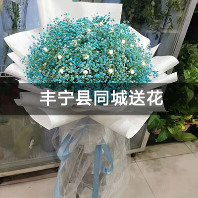 丰宁满族自治县金凤凰宾馆家属楼附近的花店，老牌花店，