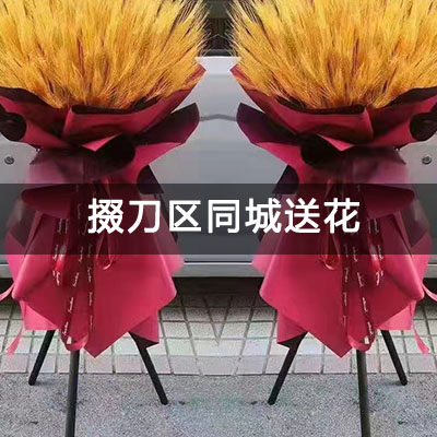 掇刀区飞扬新天城附近的花店，10余年老店，当天送货
