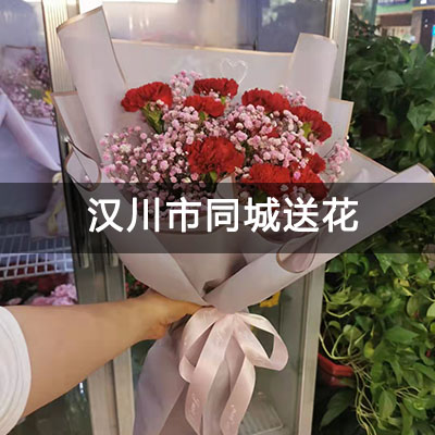 汉川市汉川风和日丽&middot;富园附近的花店，10余年老店，当天