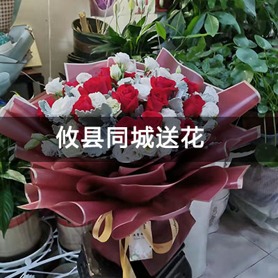攸县力升景江城附近的花店，知名花店，快送上门