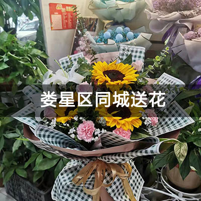 娄星区菊苑东区附近的花店，老牌花店，快送上门