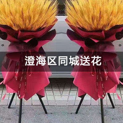 澄海区中信金城(一二期)附近的花店，老牌花店，送花上门