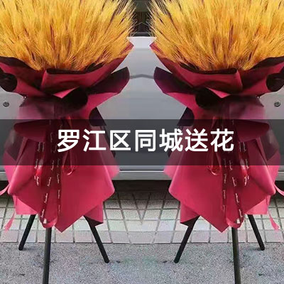 罗江区围城东路13号小区附近的花店，10余年老店，当天送货