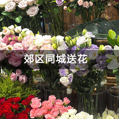 城区桃宸悦府附近的花店，10余年老店，快送上门