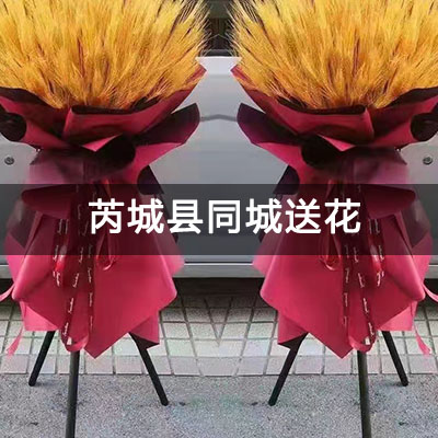 芮城县唐人小区南区附近的花店，知名花店，送花上门