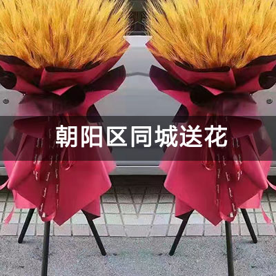 朝阳区吕营嘉园C区附近的花店，老牌花店，当天送货