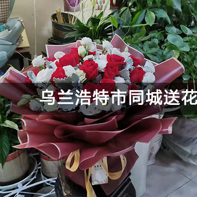 乌兰浩特市众益小区附近的花店，10余年老店，快送上门