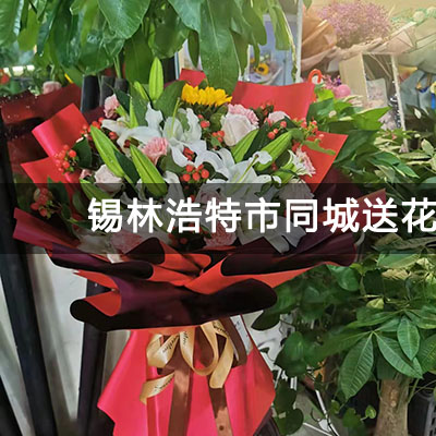 锡林浩特市润宇广场小区附近的花店，老牌花店，免费配送
