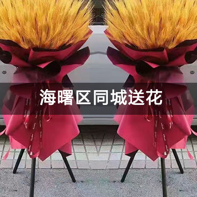 海曙区雅戈尔江上附近的花店，知名花店，快送上门