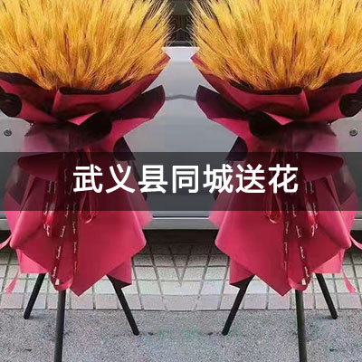 武义县栖霞花苑江南小区附近的花店，10余年老店，当天送货