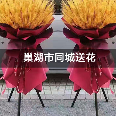 巢湖市琥珀新天地东苑(巢湖)附近的花店，老牌花店，当天