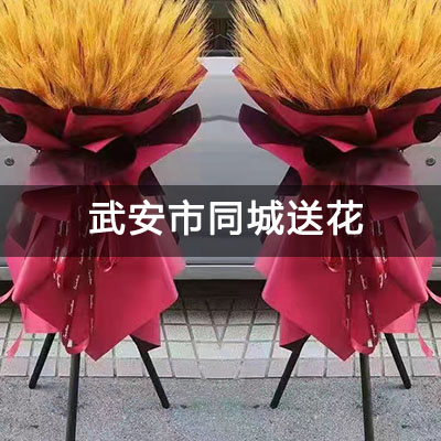 武安市富强西街六排八号自建房附近的花店，10余年老店，