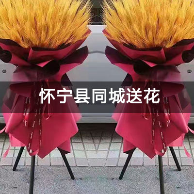 怀宁县国税局宿舍附近的花店，老牌花店，当天送货